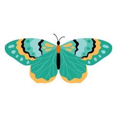 Butterfly vector illustration clipart. Cute Butterfly isolated.