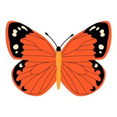Butterfly vector illustration clipart. Cute Butterfly isolated.