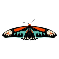 Fototapeta na wymiar Butterfly vector illustration clipart. Cute Butterfly isolated.