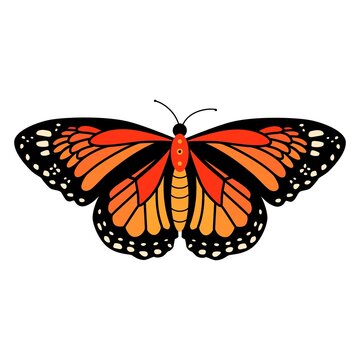 Butterfly vector illustration clipart. Cute Butterfly isolated.