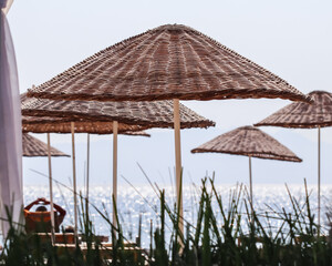 Green grass and beach sunshades against the backdrop of shining blue sea. Summer vacation concept