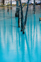 雪が残る春の青い池　美瑛町
