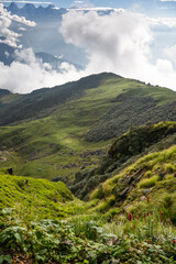 Obraz premium Landscape in the mountains in Khaliya Top, Munsiyari, Uttarakhand.