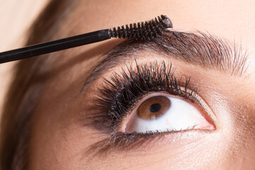 Combs eyebrows with a brush in a beauty salon. Woman with long eyelashes and thick eyebrows. Macro...