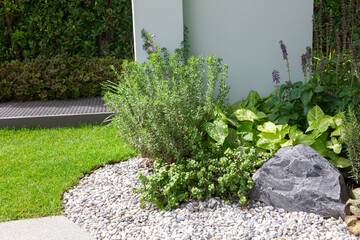 Backyard Garden with Green Small Plants. Residential Gardening Theme. © bennnn