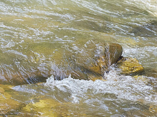 Mountain river. Pure water.