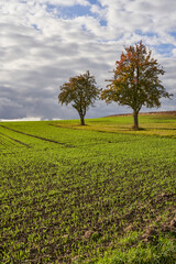 Landschaft am Haßbertrauf beim Fachwerkdorf Nassach im Naturpark Haßberge, Gemeinde Aidhausen, Landkreis Haßberge, Unterfranken, Franken,  Deutschland