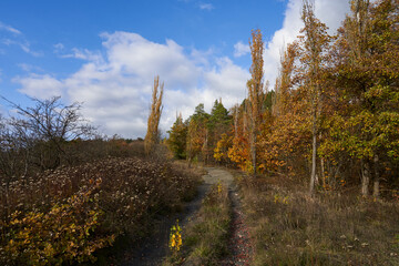 Landschaft am Haßbertrauf beim Fachwerkdorf Nassach im Naturpark Haßberge, Gemeinde Aidhausen, Landkreis Haßberge, Unterfranken, Franken,  Deutschland