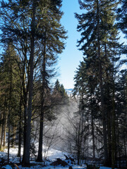Fototapeta premium Winter im Zeller Bergland im Südschwarzwald. Wald und schlafende Natur bei Schnee und Nebel