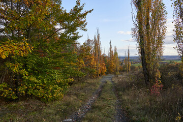 Landschaft am Haßbertrauf beim Fachwerkdorf Nassach im Naturpark Haßberge, Gemeinde Aidhausen, Landkreis Haßberge, Unterfranken, Franken,  Deutschland