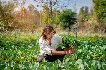 In Rural, a young farmer looks admiringly on his newly planted kale crops, which are productive and ready for harvest. Labor, hard work, hope, and a rich harvest of concept ideas
