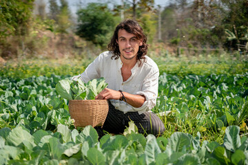 In Rural, a young farmer look at the camera looks admiringly at his newly planted kale crops, which are productive and ready for harvest. Labor, hard work, hope, and a rich harvest of concept ideas