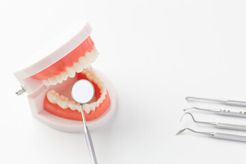 歯の模型とオーラルケアイメージ05