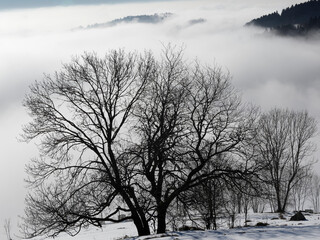 Winter im Zeller Bergland im Südschwarzwald. Panoramablick ins Wiesental zwischen Zell im Wiesental, Basel und Feldberg, Hügel, Berge, schlafende Natur bei Schnee und Nebel