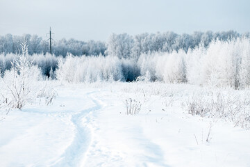 Winter white landscape with thin path in snowdrift and forest in hoar frost on horizon
