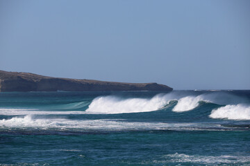 surfing the wave