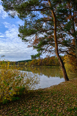 Der Reutsee bei Sulzdorf an der Lederhecke, Landkreis Rhön-Grabfeld, Unterfranken, Bayern, Deutschland