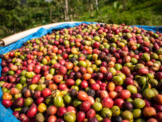 abstract background for cosmetics products