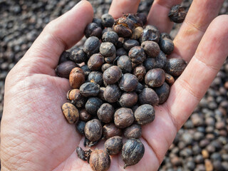 abstract background for cosmetics products