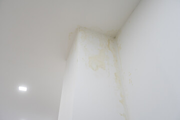 Water flowing from the ceiling.Water marks flow from the edge of the ceiling to the wall. Rainy...