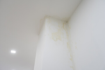 Water flowing from the ceiling.Water marks flow from the edge of the ceiling to the wall. Rainy days, dirty walls, dirty
