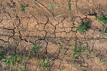 Dry mud cracked ground texture. Drought season background. Dry and cracked land, dry due to lack of rain. Effects of climate change.