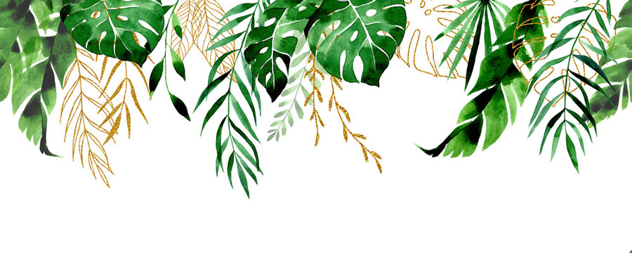watercolor drawing. seamless border, frame from tropical leaves. gold and green leaves of palm, monstera. rainforest leaves web banner