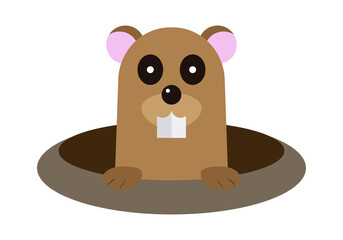 Marmota asomando de su madriguera en fondo blanco. 