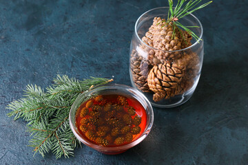 Bowl of tasty pine cone jam and fir tree branch on dark background © Pixel-Shot