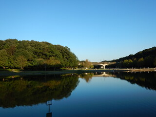 21世紀の森と広場の湖