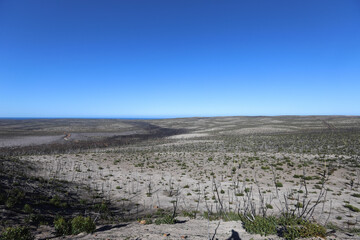 plowed field in winter