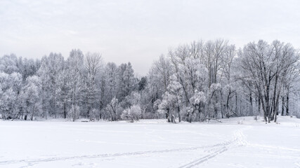 Winter snowy landscape with trees covered with frost and snow