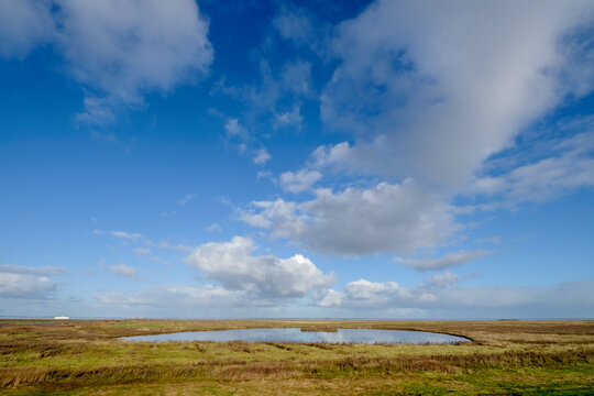 Kwelders bij Holwerd, Friesland province, (Fryslan), The Netherlands
