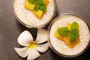 Tropical tapioca and coconut cream with mango dessert on a textured grey background  with a...