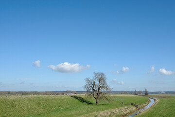 Landscape near Amerongen, Utrecht Province, The Netherlands