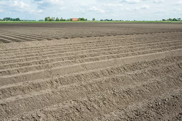 Foto auf Alu-Dibond Frisian clay soil, Friesland Province, The Netherlands © Holland-PhotostockNL