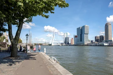 Papier Peint photo autocollant Pont Érasme Rotterdam, Zuid-Holland province, The Netherlands 