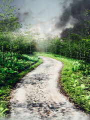 Stormy scene with a path through a green forest with young trees. 3D render.
