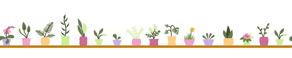 Seamless horizontal pattern with houseplants in pots on shelves. Vector illustration. Flat style.