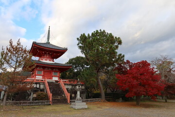 Shingyouhou-tou Tower and autumn leaves in the precincts of Dikaku-ji Temple at Saga in Kyoto City in Japan 日本の京都市嵯峨にある大覚寺境内の心経宝塔と紅葉