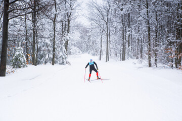 Nordic ski, white forest in winter