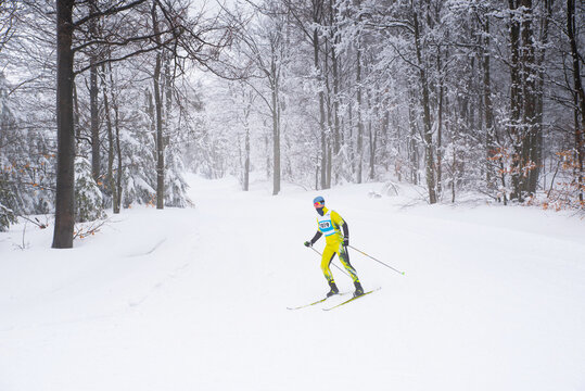 Cross country skiing in white winter nature professional race sport photo