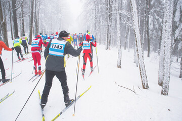 Professional nordic ski race, cross country championship