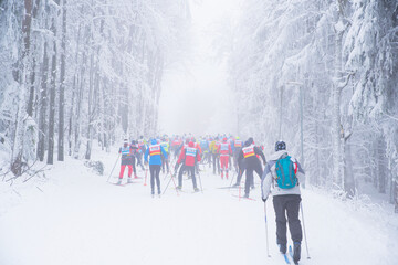 Group of nordic ski athlete in professional cross country ski race. Sport photo, edit space....