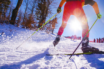 Nordic ski skier on the track in beautiful forest in sunrise light - sport active photo with space...