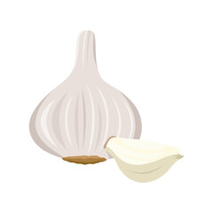 Flat vector of Garlic isolated on white background. Flat illustration graphic icon