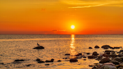 Sunset over Baltic Sea, seen from Klein Zicker, Mecklenburg-Western Pomerania, Germany