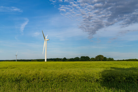 Wind turbines in a field near Neuenhagen, Mecklenburg-Western Pomerania, Germany
