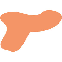 Abstract Organic Blob Aesthetic