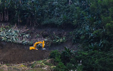 Excavator in the forest.
